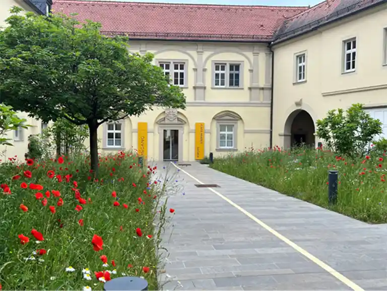 CAFÉ MARES Würzburg | Empfang Domerschulstraße 1